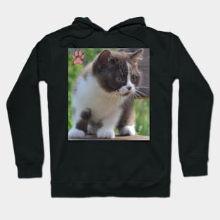 The black cute cats Hoodie